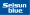 Hình ảnh Logo Selsun Blue